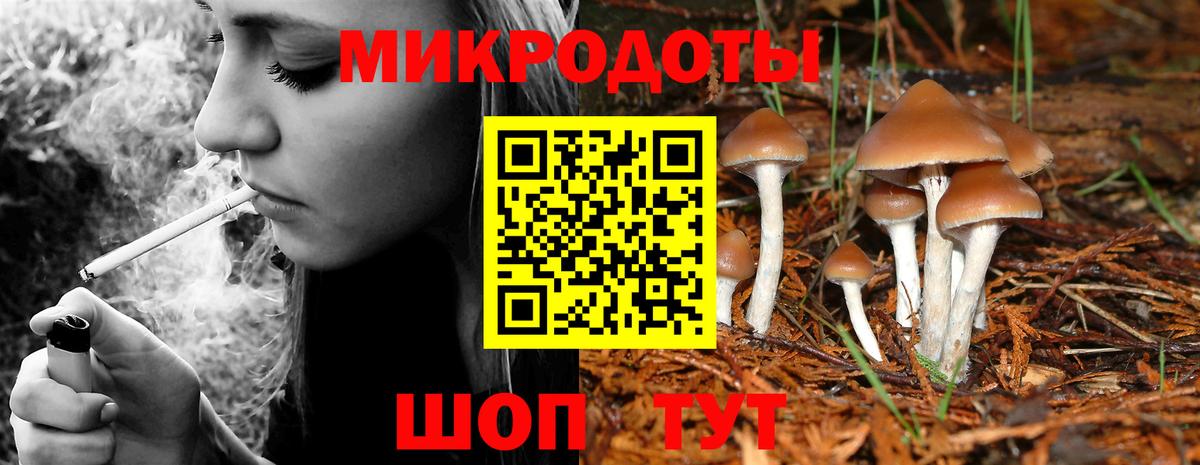 Псилоцибиновые грибы Cubensis Серпухов